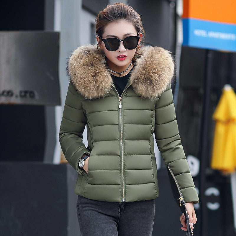 Slim cotton padded jacket and down jacket GO Buy