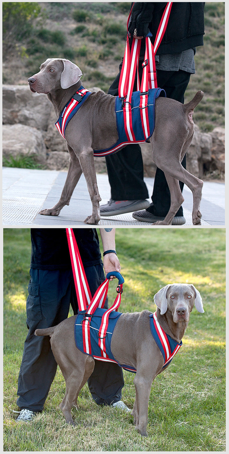 Pet Leash Harness For Elderly Dogs GO Buy