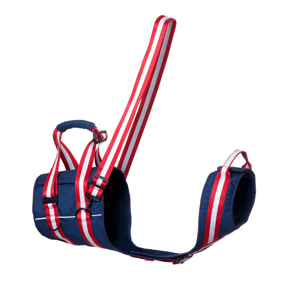 Pet Leash Harness For Elderly Dogs GO Buy