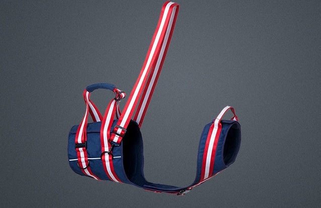 Pet Leash Harness For Elderly Dogs GO Buy