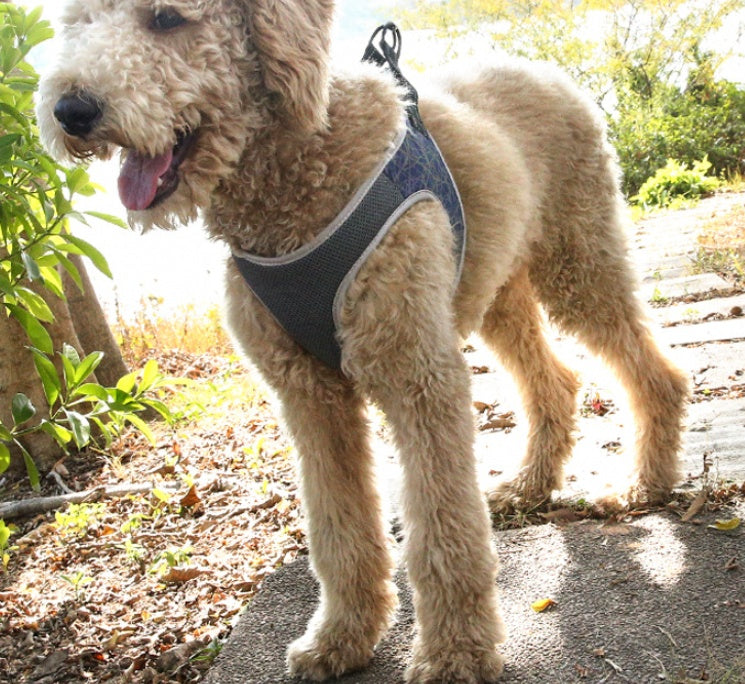 Dog Leash Vest Pet Harness Bullfight Gobuy Fashion