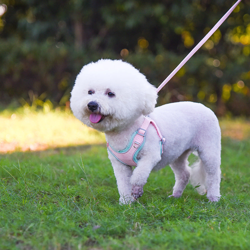 Adjustable Dog Harness And Comfortable Pet Leash Gobuy Fashion