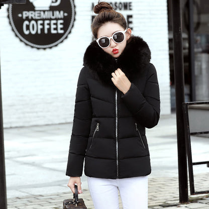 Korean Style Hooded Down Padded Jacket All-Match Small Cotton Jacket GO buy