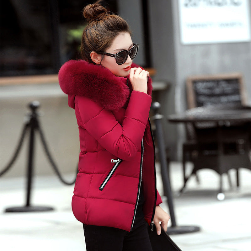 Korean Style Hooded Down Padded Jacket All-Match Small Cotton Jacket GO buy