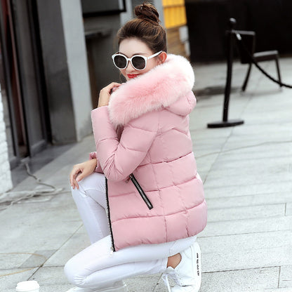 Korean Style Hooded Down Padded Jacket All-Match Small Cotton Jacket GO buy