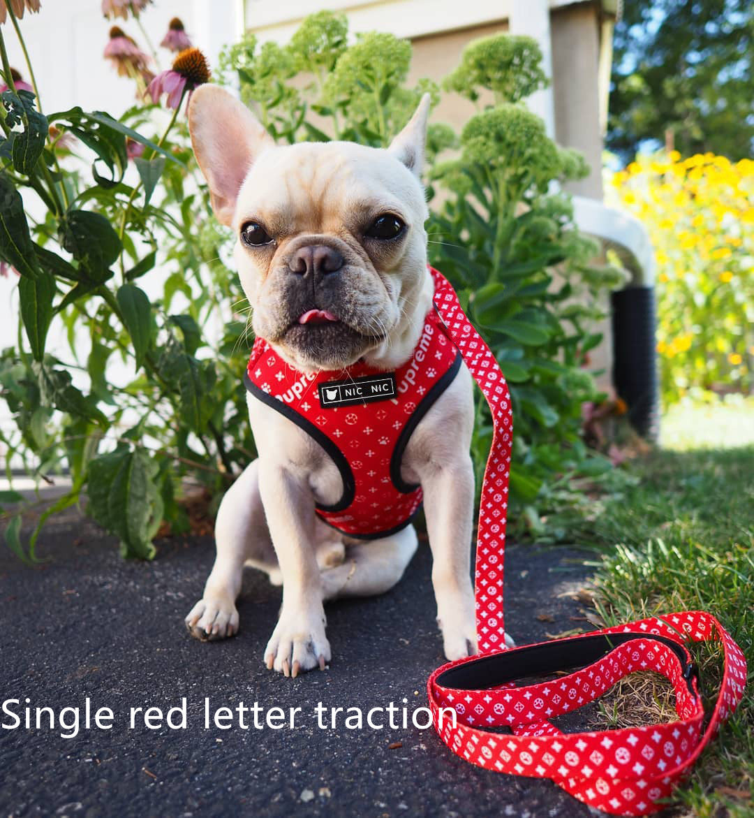 Ins Dog Pet Breathable Mesh Leash Chest Harness GO Buy