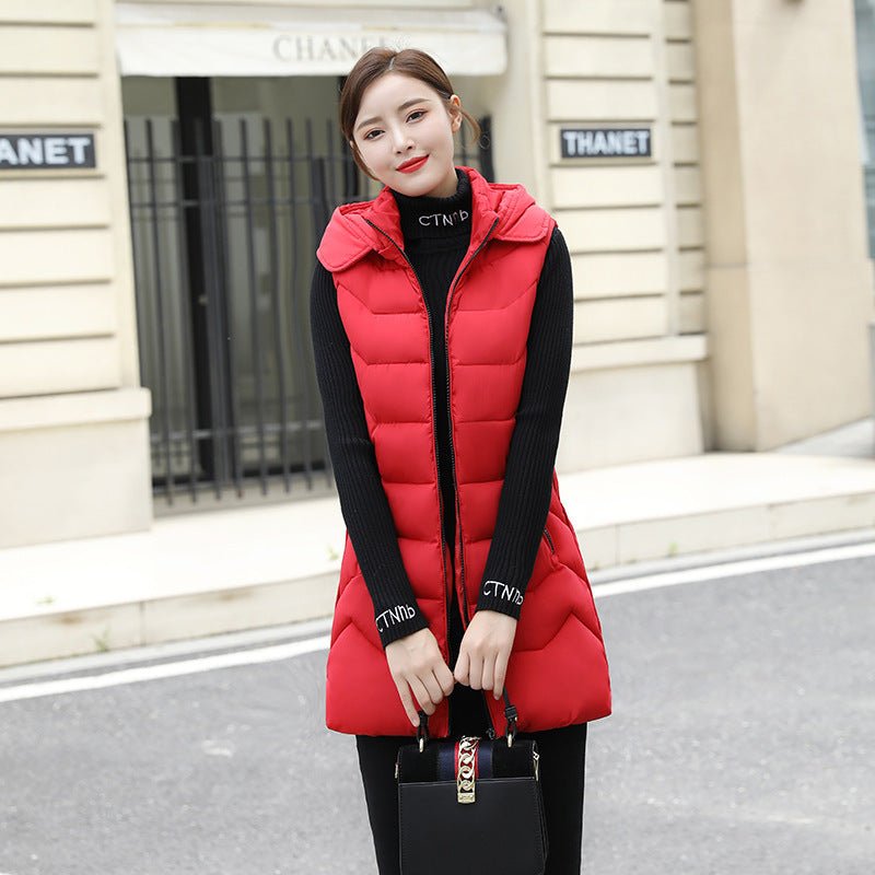 New Korean women's down padded jacket GO buy