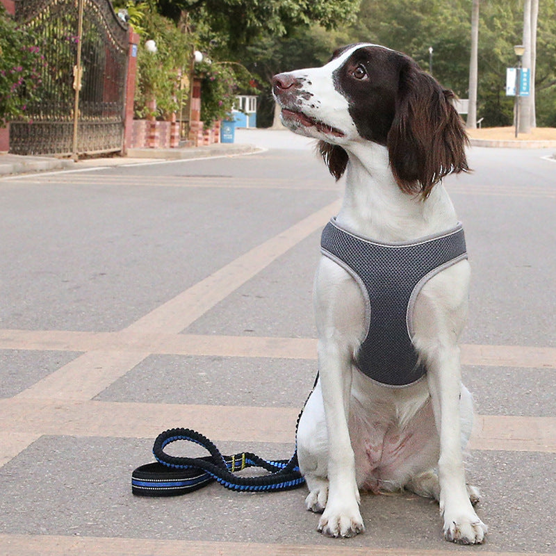 Dog Leash Vest Pet Harness Bullfight Gobuy Fashion