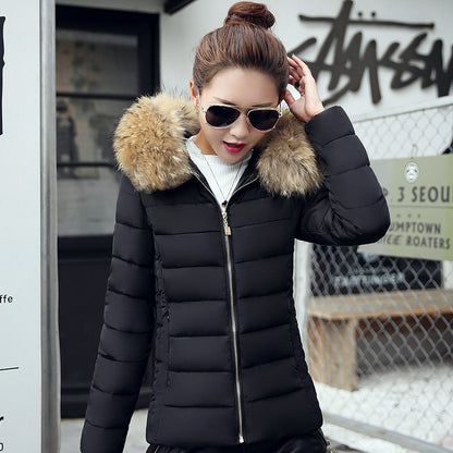 Slim cotton padded jacket and down jacket GO Buy