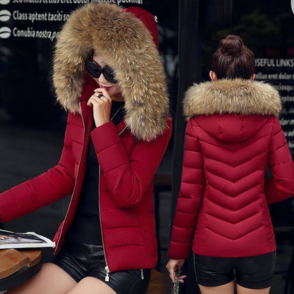Slim cotton padded jacket and down jacket GO Buy